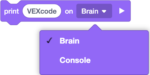 Imagen de la pantalla del EXP Brain que muestra las opciones de impresión y la configuración del cursor para texto y formas.